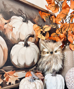 photo of Fall mantel decorations with owl and pumpkins